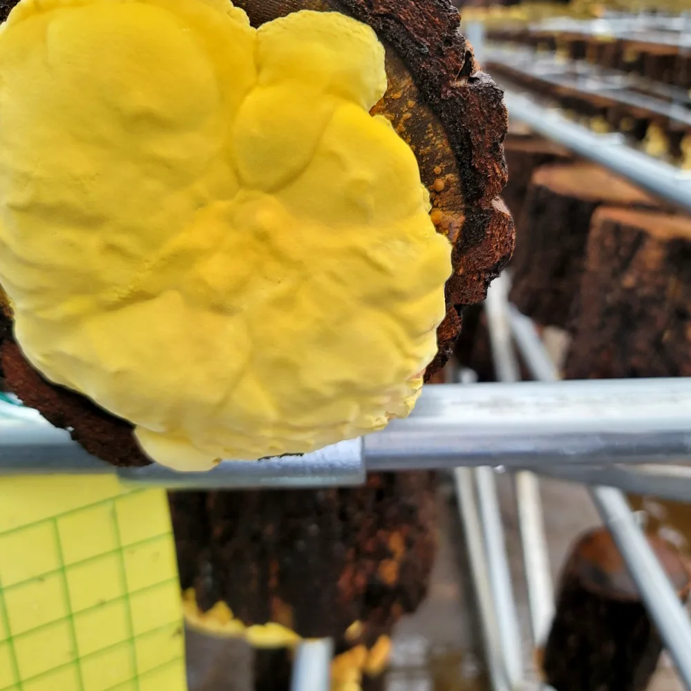 생활정보 보이나?